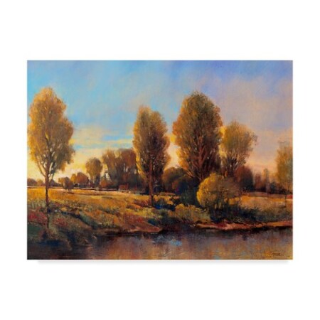 Trademark Fine Art Tim Otoole 'Riverside Light Ii' Canvas Art, 24x32 WAG02610-C2432GG